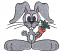 C1: Gray&#13;&#10;C2: Orange&#13;&#10;C3: Green&#13;&#10;C4: White&#13;&#10;C5: Pink&#13;&#10;C6: Black