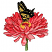 C1: Stem---Kiwi(Isacord 40 #1104)&#13;&#10;C2: Stem---Grasshopper(Isacord 40 #1176)&#13;&#10;C3: Petals---Tropicana(Isacord 40 #1511)&#13;&#10;C4: Petal Shade---Raspberry(Isacord 40 #1511)&#13;&#10;C5: Highlight---Pink Tulip(Isacord 40 #1115)&#13;&#10;C6: