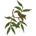 C1: Leaves Fill---Lima Bean(Isacord 40 #1177)&#13;&#10;C2: Leaves Detail---Grasshopper(Isacord 40 #1176)&#13;&#10;C3: Pecans Fill---Pecan(Isacord 40 #1128)&#13;&#10;C4: Branch---Rust(Isacord 40 #1058)&#13;&#10;C5: Pecans Detail---Umber(Isacord 40 #1173)