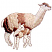 C1: Neck & Legs---Muslin(Isacord 40 #1082)&#13;&#10;C2: Neck & Back---Ivory(Isacord 40 #1149)&#13;&#10;C3: Fill---Pecan(Isacord 40 #1128)&#13;&#10;C4: Eyes---Black(Isacord 40 #1234)
