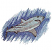 C1: Background---Wedgewood(Isacord 40 #1028)&#13;&#10;C2: Background---Blue Ribbon(Isacord 40 #1535)&#13;&#10;C3: Teeth---White(Isacord 40 #1002)&#13;&#10;C4: Shark Fill---Azure Blue(Isacord 40 #1203)&#13;&#10;C5: Shark Shade---Steel(Isacord 40 #1166)&#13