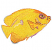 C1: Fish---Yellow Bird(Isacord 40 #1124)
C2: Shade---Goldenrod(Isacord 40 #1137)
C3: Shade & Outline---Pumpkin(Isacord 40 #1168)
C4: Accent---Wild Iris(Isacord 40 #1032)
C5: Accent---Wedgewood(Isacord 40 #1028)

