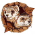 C1: Rock Fill---Pecan(Isacord 40 #1128)&#13;&#10;C2: Shading---Pine Bark(Isacord 40 #1170)&#13;&#10;C3: Leaves---Date(Isacord 40 #1216)&#13;&#10;C4: Leaves Shading---Rust(Isacord 40 #1058)&#13;&#10;C5: Ferrets---Muslin(Isacord 40 #1082)&#13;&#10;C6: Ferre