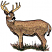 C1: Ground---Pine Bark(Isacord 40 #1170)
C2: Eye & Throat---Muslin(Isacord 40 #1082)
C3: Body---Old Gold(Isacord 40 #1055)
C4: Body Shading---Pecan(Isacord 40 #1128)
C5: Shading---Pine Bark(Isacord 40 #1170)
C6