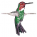 C1: Wings Front Body---White(Isacord 40 #1002)&#13;&#10;C2: Back & Stomach Accents---Green Metallic(Yenmet/ Isamet #7018)&#13;&#10;C3: Head---Red Metallic(Yenmet/ Isamet #7014)&#13;&#10;C4: Shade & Tail---Evergreen(Isacord 40 #1208)&#13;&#10;C5: Wing Acce