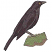 C1: Rock---Khaki(Isacord 40 #1179)&#13;&#10;C2: Shading---Bright Mint(Isacord 40 #1510)&#13;&#10;C3: Beak & Talons---Stone(Isacord 40 #1180)&#13;&#10;C4: Bird---Charcoal(Isacord 40 #1234)&#13;&#10;C5: Shading---Whale(Isacord 40 #1041)&#13;&#10;C6: Eye---C