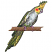 C1: Fill---White(Isacord 40 #1002)&#13;&#10;C2: Tail & Tail Feathers---Lemon(Isacord 40 #1167)&#13;&#10;C3: Feathers---Lima Bean(Isacord 40 #1177)&#13;&#10;C4: Shade---Sterling(Isacord 40 #1011)&#13;&#10;C5: Shade---Backyard Green(Isacord 40 #1175)&#13;&#