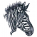 C1: Zebra---Black(Isacord 40 #1234)