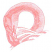 C1: Flamingo---Salmon(Isacord 40 #1259)