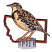 C1: State---Light Cocoa(Isacord 40 #1158)&#13;&#10;C2: Throat, Breast, & Over Eye---Buttercup(Isacord 40 #1135)&#13;&#10;C3: Wings, Back, Head, Tail, & Breast Shading---Flax(Isacord 40 #1055)&#13;&#10;C4: Head, Back, & Wing Highlights---Muslin(Isacord 40