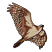 C1: Bird---Ivory(Isacord 40 #1149)&#13;&#10;C2: Bird Shading---Copper(Isacord 40 #1158)&#13;&#10;C3: Feet---Goldenrod(Isacord 40 #1137)&#13;&#10;C4: Bird Shading---Pecan(Isacord 40 #1128)&#13;&#10;C5: Head Shading---Gravel(Isacord 40 #1179)&#13;&#10;C6: B