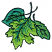 C1: Leaf---Shamrock(Isacord 40 #1101)&#13;&#10;C2: Leaves---Erin Green(Isacord 40 #1510)&#13;&#10;C3: Leaf Shading---Swiss Ivy(Isacord 40 #1079)&#13;&#10;C4: Leaf Shading---Lime(Isacord 40 #1176)&#13;&#10;C5: Outlines---Forest Green(Isacord 40 #1536)