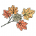 C1: Brown Leaf---Ivory(Isacord 40 #1149)&#13;&#10;C2: Brown Leaf Shading---Taupe(Isacord 40 #1179)&#13;&#10;C3: Red Leaves---Coral(Isacord 40 #1019)&#13;&#10;C4: Red Leaf Shading---Flamingo(Isacord 40 #1020)&#13;&#10;C5: Orange Leaves---Shrimp(Isacord 40