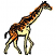 C1: Giraffe Underside---Daffodil(Isacord 40 #1135)&#13;&#10;C2: Giraffe---Apricot(Isacord 40 #1238)&#13;&#10;C3: Giraffe Outlines---Black(Isacord 40 #1234)