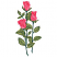 C1: Petals---Soft Pink(Isacord 40 #1224)&#13;&#10;C2: Petals Shading---Garden Rose(Isacord 40 #1109)&#13;&#10;C3: Leaves---Kiwi(Isacord 40 #1104)&#13;&#10;C4: Leaf Shading & Stems---Swiss Ivy(Isacord 40 #1079)