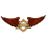 C1: Wings---Rust(Isacord 40 #1058)&#13;&#10;C2: Wings Shading---Cinnamon(Isacord 40 #1247)&#13;&#10;C3: Wings Outlines---Mahogany(Isacord 40 #1215)&#13;&#10;C4: Banner---Old Gold(Isacord 40 #1055)&#13;&#10;C5: Banner Shading---Golden Grain(Isacord 40 #112