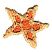 C1: Starfish Spots---Papaya(Isacord 40 #1024)&#13;&#10;C2: Starfish---Lemon(Isacord 40 #1167)