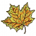 C1: Leaf---Seaweed(Isacord 40 #1209)&#13;&#10;C2: Leaf Shading---Canary(Isacord 40 #1124)&#13;&#10;C3: Leaf Shading---Clay(Isacord 40 #1021)&#13;&#10;C4: Veins, Stem & Outlines---Fox(Isacord 40 #1186)