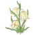 C1: Flower---Eggshell(Isacord 40 #1071)&#13;&#10;C2: Flower Shading---Daffodil(Isacord 40 #1135)&#13;&#10;C3: Flower Highlights---White(Isacord 40 #1002)&#13;&#10;C4: Flower Outlines---Stone(Isacord 40 #1180)&#13;&#10;C5: Leaves & Stems---Jalapeno(Isacord