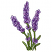 C1: Leaves---Kiwi(Isacord 40 #1104)&#13;&#10;C2: Leaf Shading---Lima Bean(Isacord 40 #1177)&#13;&#10;C3: Leaf Outlines---Backyard Green(Isacord 40 #1175)&#13;&#10;C4: Flowers---Lavender(Isacord 40 #1193)&#13;&#10;C5: Flowers Dark Shading---Orchid(Isacord