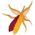 C1: Corn Husks---Old Gold(Isacord 40 #1055)&#13;&#10;C2: Corn Husks Shading---Toffee(Isacord 40 #1126)&#13;&#10;C3: Red Corn---Mauve(Isacord 40 #1119)&#13;&#10;C4: Red Corn Overlay---Claret(Isacord 40 #1190)&#13;&#10;C5: Yellow Corn---Lemon(Isacord 40 #11