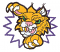 C1: Yellow
C2: White
C3: Pink
C4: Green
C5: Purple
C6: Black