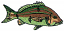 C1: Lt. Green&#13;&#10;C2: Brown&#13;&#10;C3: Green&#13;&#10;C4: Tan&#13;&#10;C5: Black