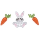 Bunny/carrots