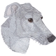 Greyhound Head