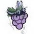 Grapes & Dragonfly Applique
