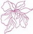 Orchid Outline