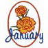 January - Carnation