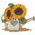 Sunflowers In Watering Can