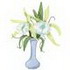 Orchids In A Vase
