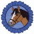 Show Horse Logo