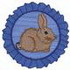 Show Rabbit Logo