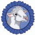 Show Sheep Logo