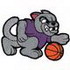 Panther Basketball