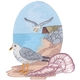 Seagulls And Shells