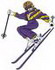 Woman Skier