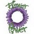 Aster Flower Power