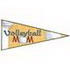 Volleyball Mom Pennant