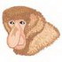 Probascis Monkey