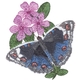 Blue Pansy Or Blue Argus