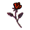 SMALL ROSE