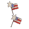 FLAGS WITH STARS