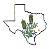 TEXAS STATE OUTLINE W/FLOWER
