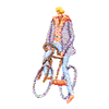 LADY ON BICYCLE