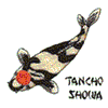 TANCHO SHOWA