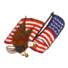 EAGLE & AMERICAN FLAG